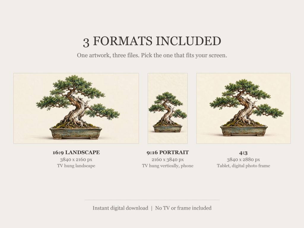 Bonsai Tree Gallery Study: the three included formats, 16:9, 9:16 and 4:3