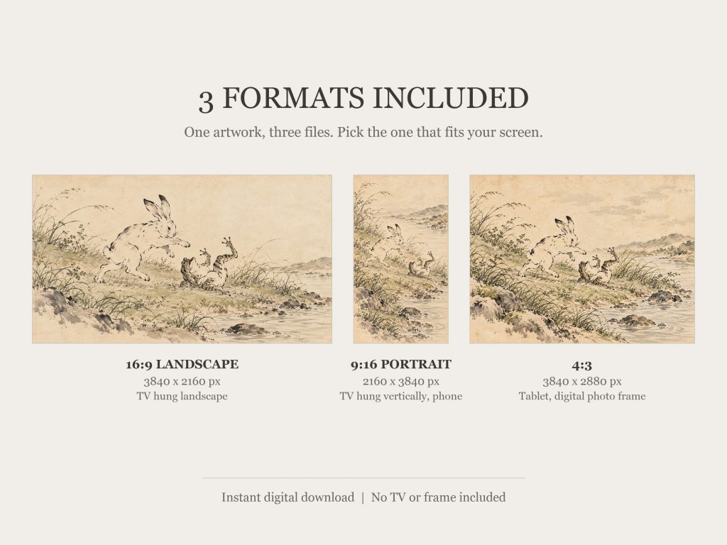 Rabbit and Frog at Play: the three included formats, 16:9, 9:16 and 4:3