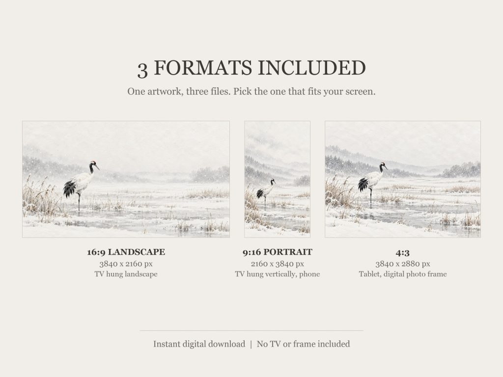 Lone Crane in a Snowy Marsh: the three included formats, 16:9, 9:16 and 4:3