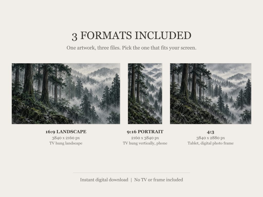 Moody Cedar Forest in Rain: the three included formats, 16:9, 9:16 and 4:3